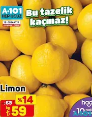 LİMON KG